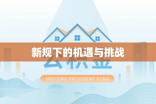 马边新规下的机遇与挑战