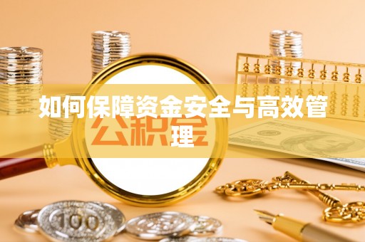 马边如何保障资金安全与高效管理