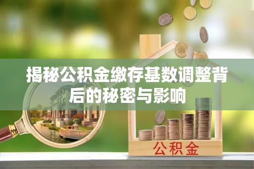 马边揭秘公积金缴存基数调整背后的秘密与影响