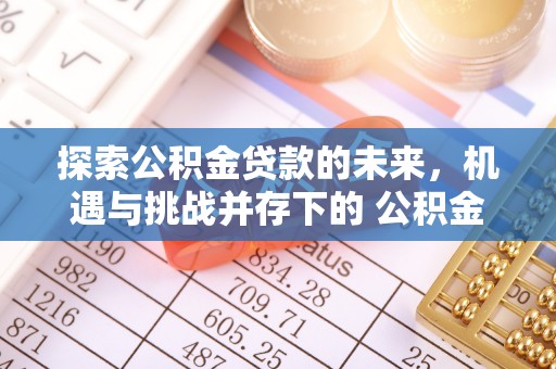马边探索公积金贷款的未来，机遇与挑战并存下的 公积金贷款风险防控