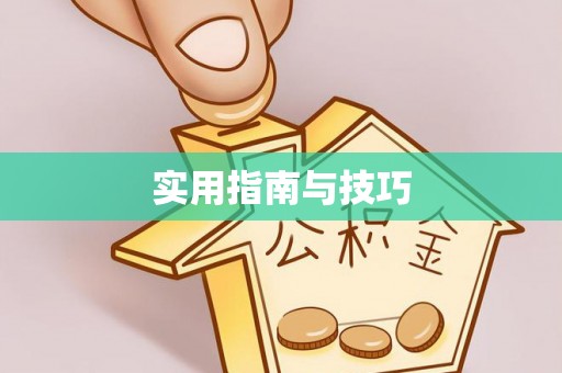 马边实用指南与技巧