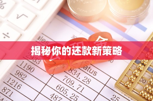 马边揭秘你的还款新策略