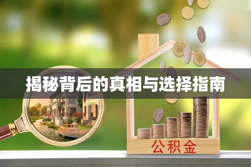 马边揭秘背后的真相与选择指南