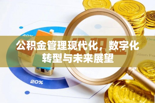 马边公积金管理现代化，数字化转型与未来展望