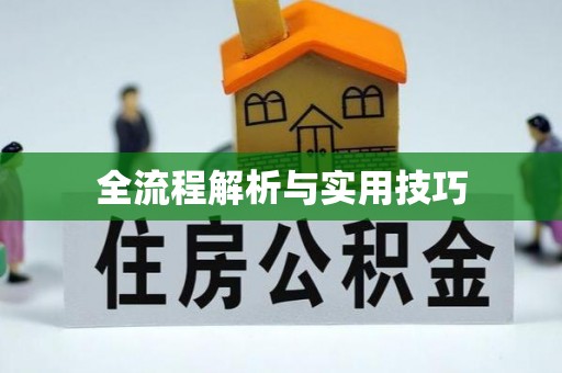 马边全流程解析与实用技巧