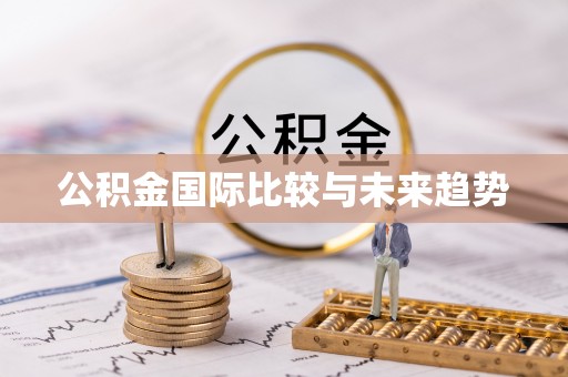马边公积金国际比较与未来趋势
