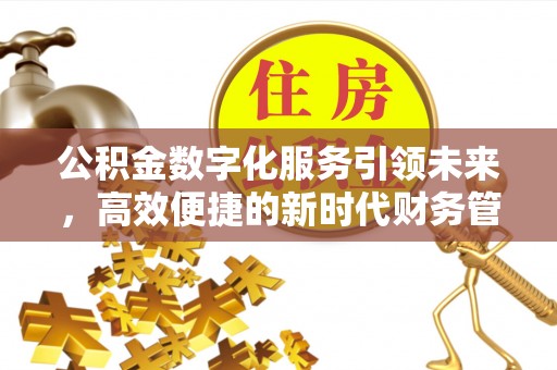 马边公积金数字化服务引领未来，高效便捷的新时代财务管理