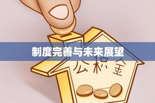 马边制度完善与未来展望