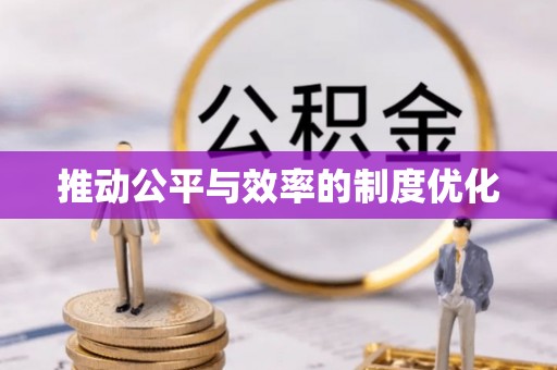 马边推动公平与效率的制度优化