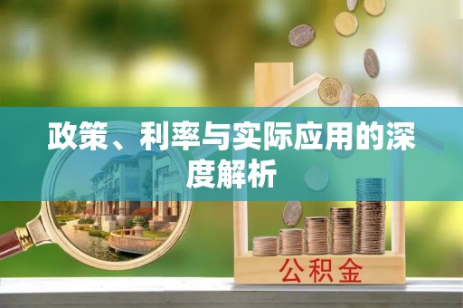 马边政策、利率与实际应用的深度解析
