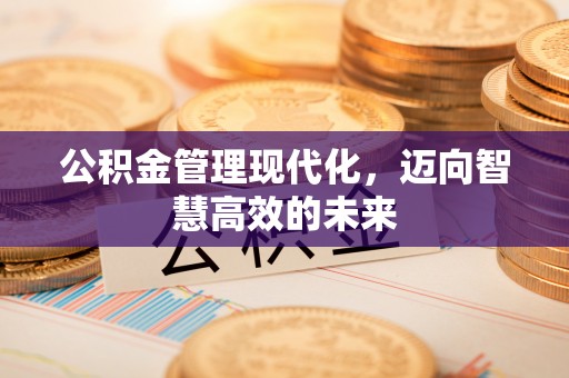 马边公积金管理现代化，迈向智慧高效的未来