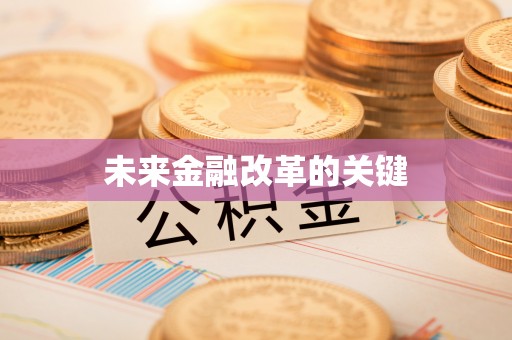 马边未来金融改革的关键