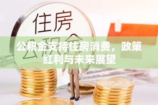 马边公积金支持住房消费，政策红利与未来展望