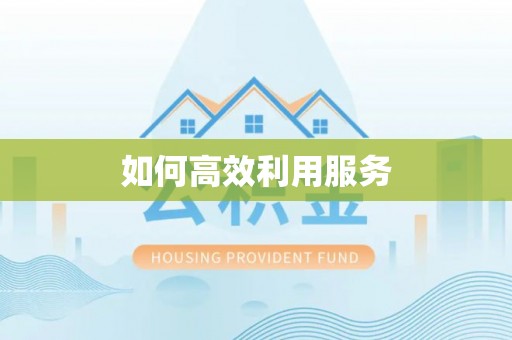 马边如何高效利用服务