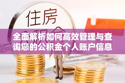 马边全面解析如何高效管理与查询您的公积金个人账户信息