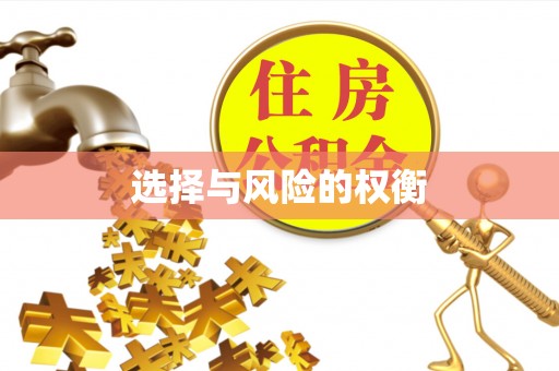 马边选择与风险的权衡