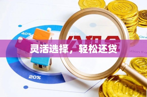 马边灵活选择，轻松还贷
