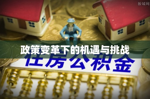 马边政策变革下的机遇与挑战