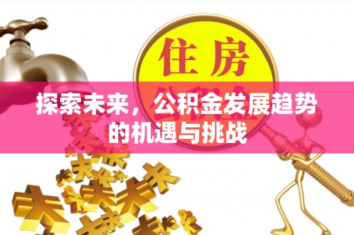 马边探索未来，公积金发展趋势的机遇与挑战