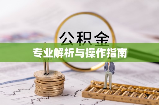 马边专业解析与操作指南