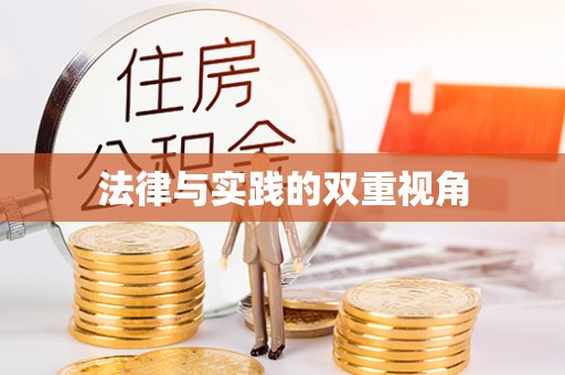 马边法律与实践的双重视角