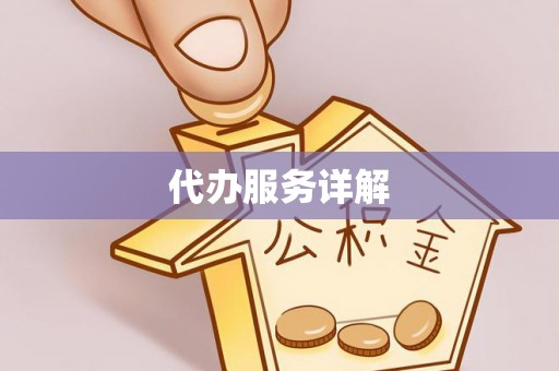 马边代办服务详解