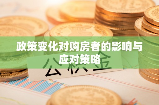 马边政策变化对购房者的影响与应对策略
