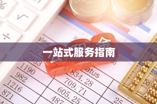 马边一站式服务指南