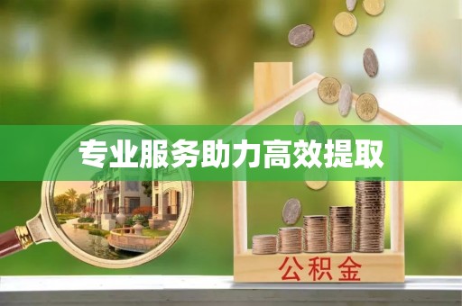 马边专业服务助力高效提取
