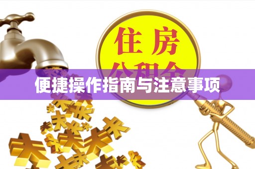 马边便捷操作指南与注意事项