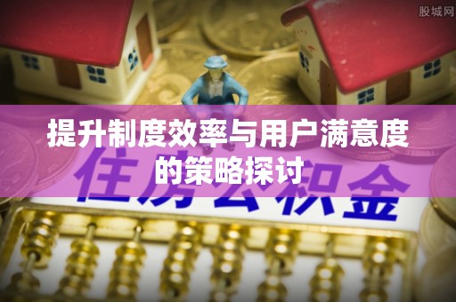 马边提升制度效率与用户满意度的策略探讨
