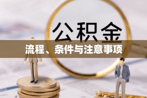 马边流程、条件与注意事项